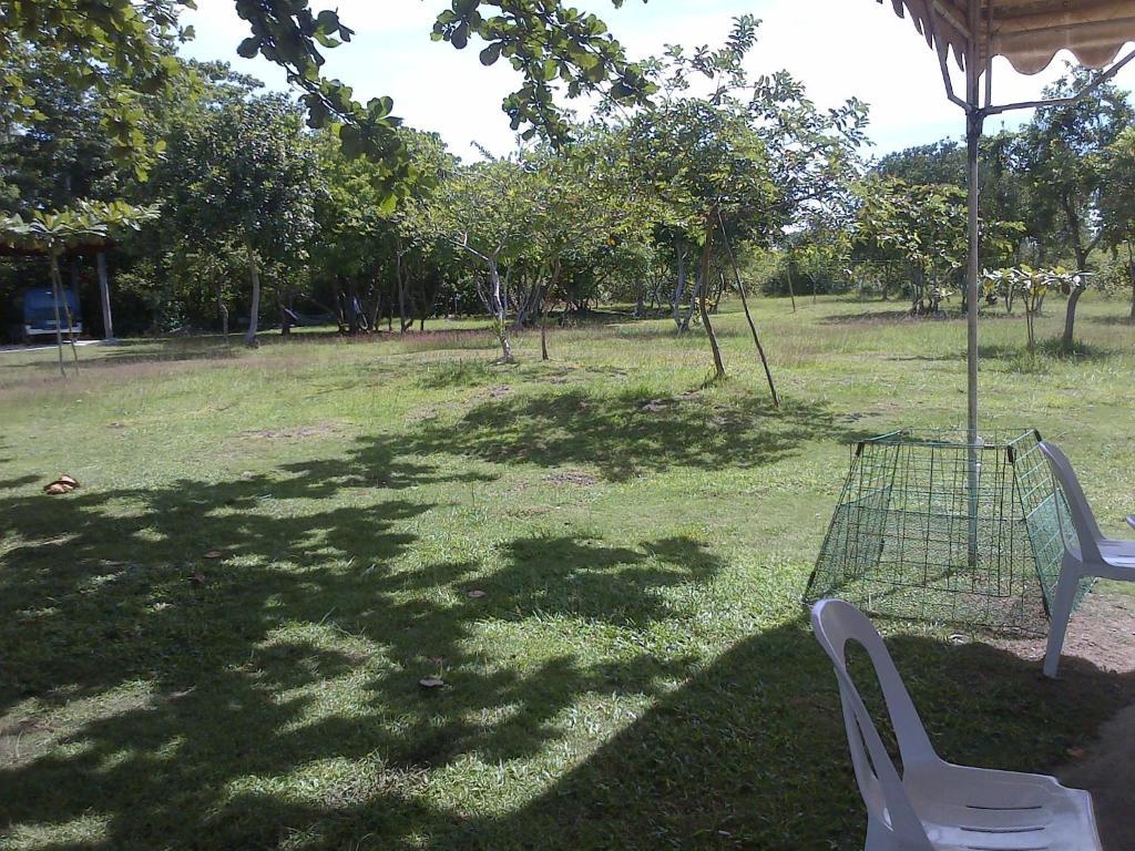 Ladaga Inn & Restaurant Panglao-stad Buitenkant foto